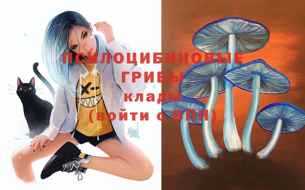 винт Алексеевка